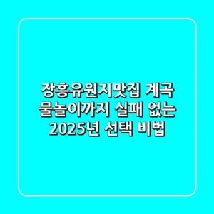 장흥유원지맛집, 계곡 물놀이까지! 실패 없는 2025년 선택 비법
