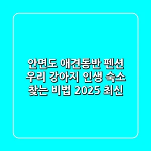 안면도 애견동반 펜션, 우리 강아지 인생 숙소 찾는 비법 (2025 최신)