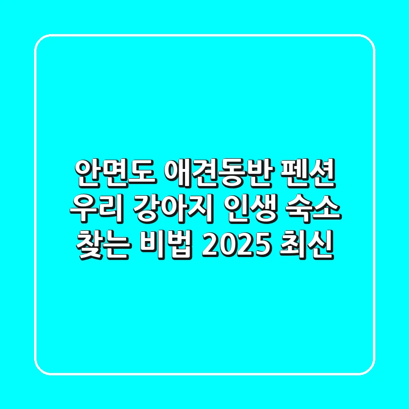 안면도 애견동반 펜션, 우리 강아지 인생 숙소 찾는 비법 (2025 최신)