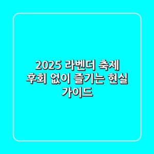 2025 라벤더 축제, 후회 없이 즐기는 현실 가이드