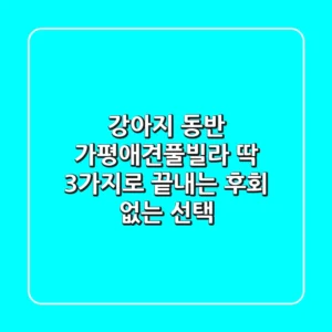 강아지 동반 가평애견풀빌라? 딱 3가지로 끝내는 후회 없는 선택!