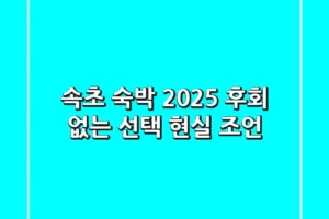 속초 숙박 2025: 후회 없는 선택 현실 조언
