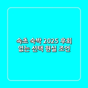 속초 숙박 2025: 후회 없는 선택 현실 조언