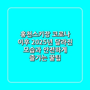 홍천스키장, 코로나 이후 2025년 달라진 모습과 안전하게 즐기는 꿀팁