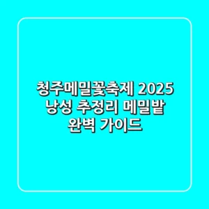 청주메밀꽃축제 2025, 낭성 추정리 메밀밭 완벽 가이드