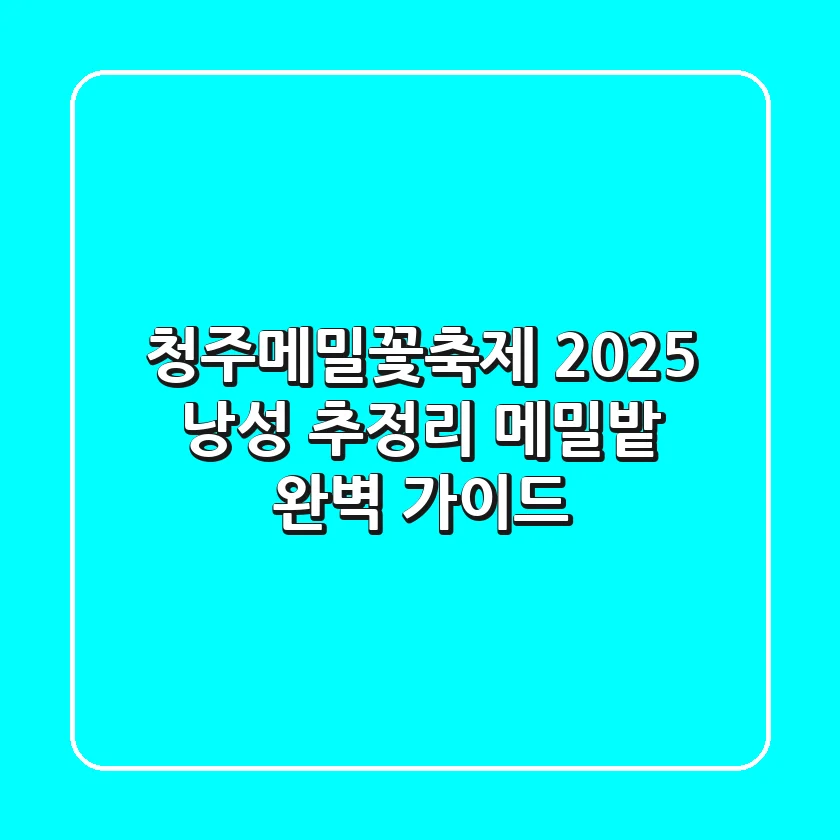 청주메밀꽃축제 2025, 낭성 추정리 메밀밭 완벽 가이드