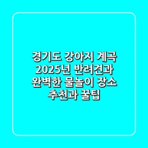 경기도 강아지 계곡: 2025년 반려견과 완벽한 물놀이 장소 추천과 꿀팁