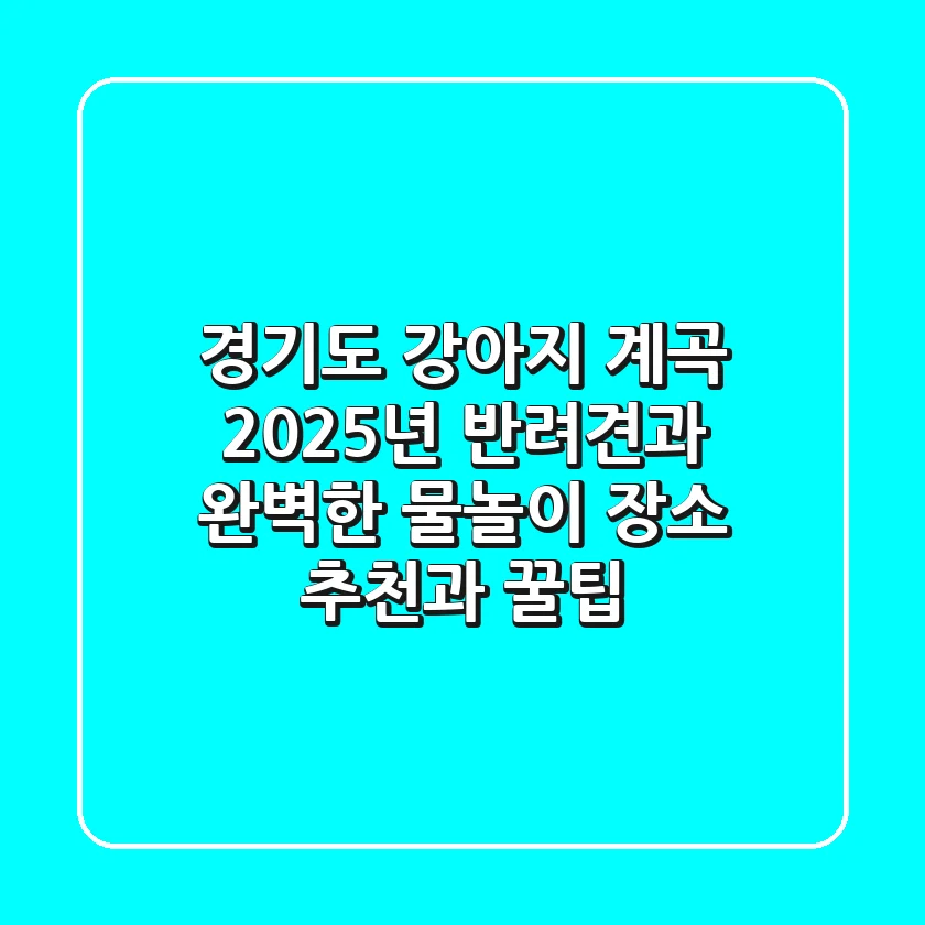 경기도 강아지 계곡: 2025년 반려견과 완벽한 물놀이 장소 추천과 꿀팁