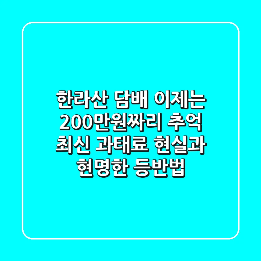 한라산 담배, 이제는 200만원짜리 추억? 최신 과태료 현실과 현명한 등반법
