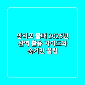 만리포 물때: 2025년 완벽 활용 가이드와 숨겨진 꿀팁
