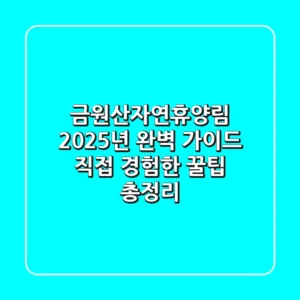 금원산자연휴양림 2025년 완벽 가이드: 직접 경험한 꿀팁 총정리
