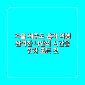 겨울 제주도 혼자 여행, 완벽한 나만의 시간을 위한 모든 것