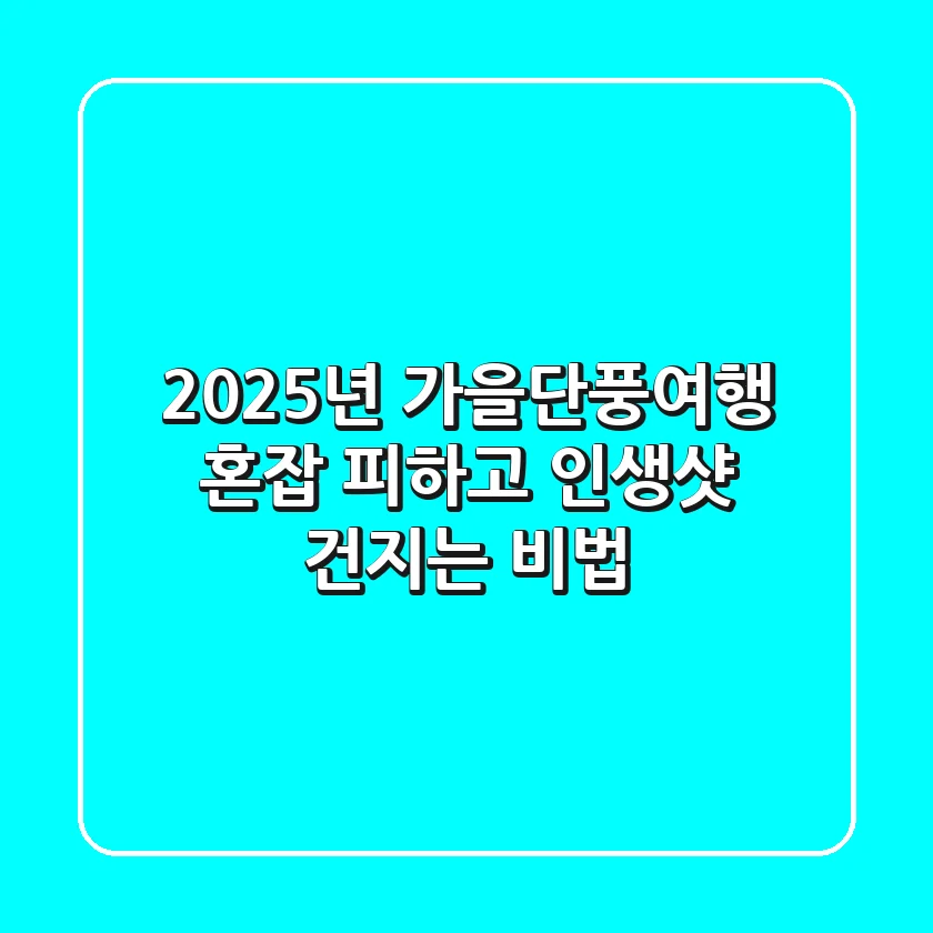 2025년 가을단풍여행: 혼잡 피하고 인생샷 건지는 비법