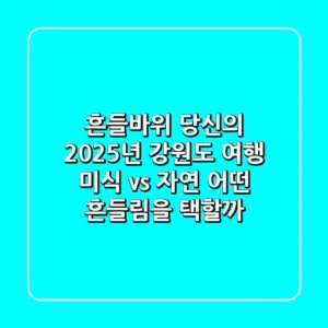 흔들바위: 당신의 2025년 강원도 여행, 미식 vs 자연 어떤 흔들림을 택할까?