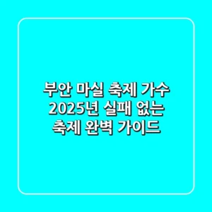 부안 마실 축제 가수, 2025년 실패 없는 축제 완벽 가이드