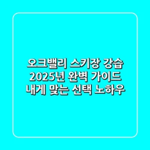 오크밸리 스키장 강습, 2025년 완벽 가이드! 내게 맞는 선택 노하우