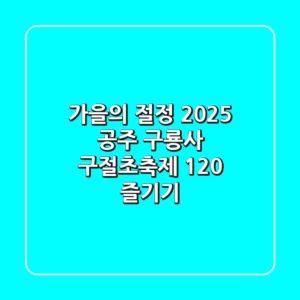 가을의 절정, 2025 공주 구룡사 구절초축제 120% 즐기기