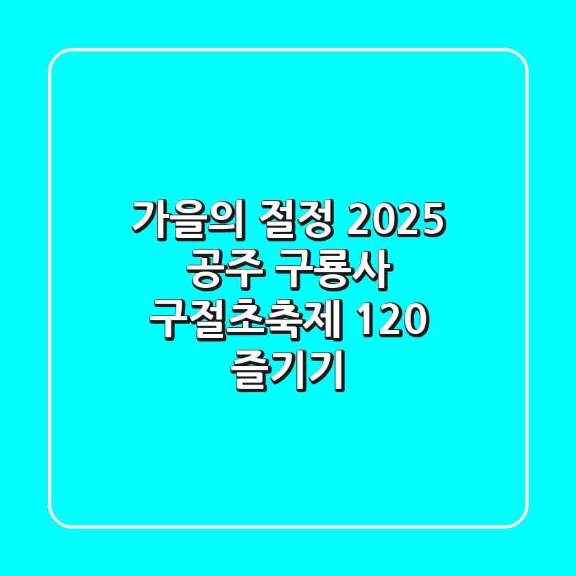 가을의 절정, 2025 공주 구룡사 구절초축제 120% 즐기기