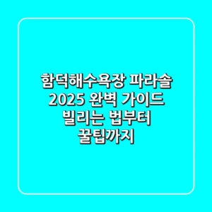 함덕해수욕장 파라솔 2025 완벽 가이드: 빌리는 법부터 꿀팁까지!
