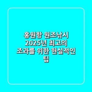 홍원항 원조낚시, 2025년 최고의 조과를 위한 현실적인 팁