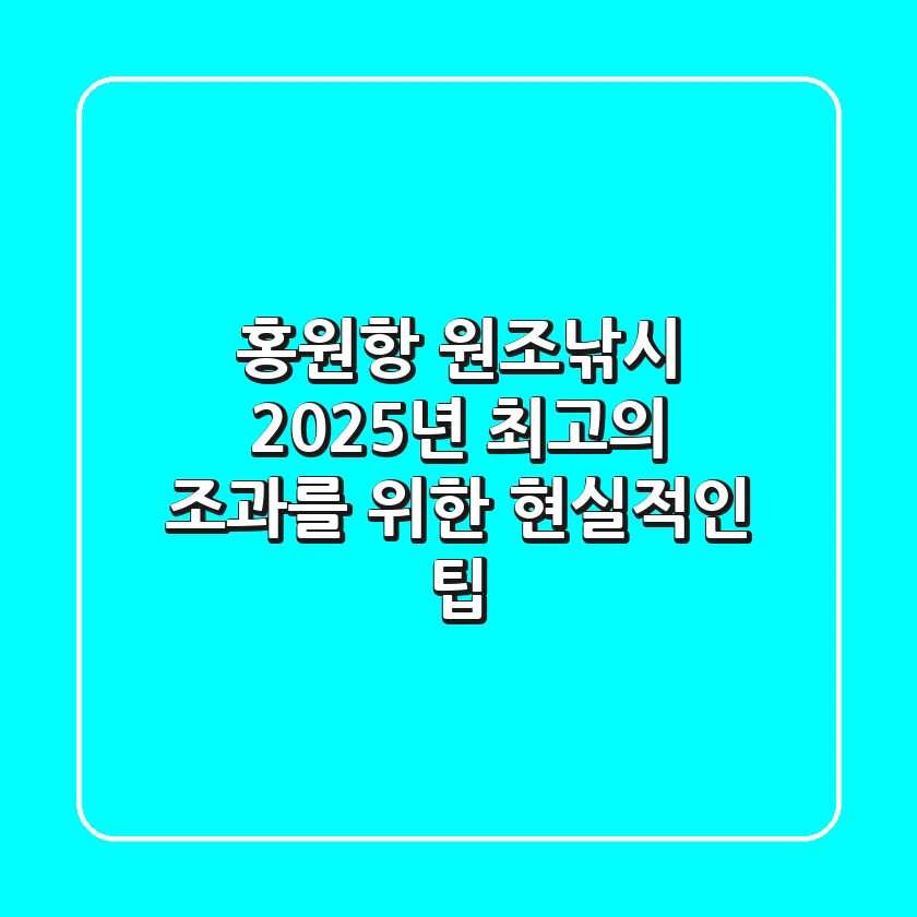 홍원항 원조낚시, 2025년 최고의 조과를 위한 현실적인 팁