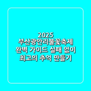 2025 부산광안리불꽃축제 완벽 가이드: 실패 없이 최고의 추억 만들기