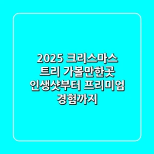 2025 크리스마스 트리 가볼만한곳: 인생샷부터 프리미엄 경험까지