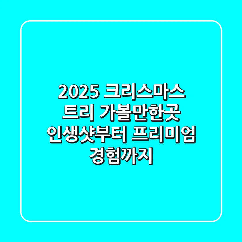 2025 크리스마스 트리 가볼만한곳: 인생샷부터 프리미엄 경험까지
