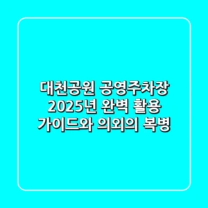 대천공원 공영주차장: 2025년 완벽 활용 가이드와 의외의 복병!