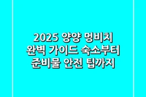 2025 양양 멍비치 완벽 가이드: 숙소부터 준비물, 안전 팁까지