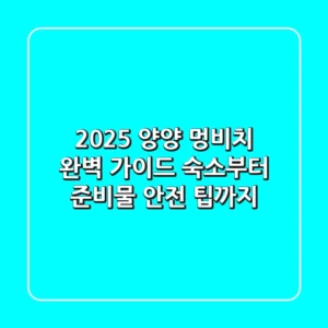 2025 양양 멍비치 완벽 가이드: 숙소부터 준비물, 안전 팁까지