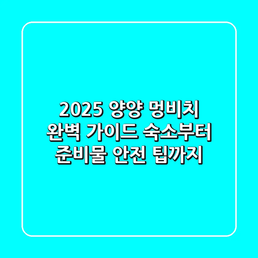 2025 양양 멍비치 완벽 가이드: 숙소부터 준비물, 안전 팁까지