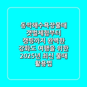 동막해수욕장물때: 갯벌체험부터 캠핑까지, 완벽한 강화도 여행을 위한 2025년 최신 물때 활용법