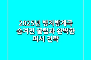 2025년 병지방계곡: 숨겨진 꿀팁과 완벽한 피서 전략