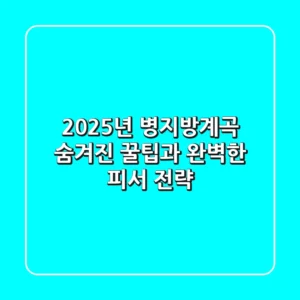 2025년 병지방계곡: 숨겨진 꿀팁과 완벽한 피서 전략