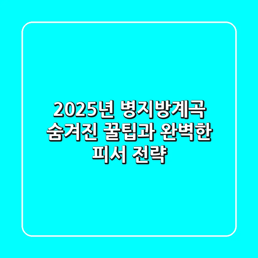 2025년 병지방계곡: 숨겨진 꿀팁과 완벽한 피서 전략