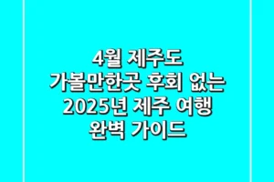 4월 제주도 가볼만한곳, 후회 없는 2025년 제주 여행 완벽 가이드