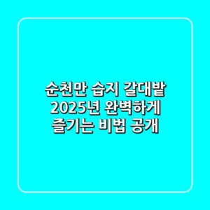 순천만 습지 갈대밭, 2025년 완벽하게 즐기는 비법 공개!
