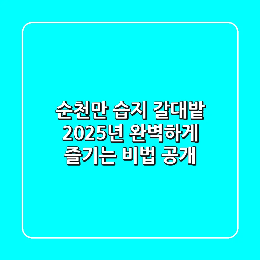 순천만 습지 갈대밭, 2025년 완벽하게 즐기는 비법 공개!