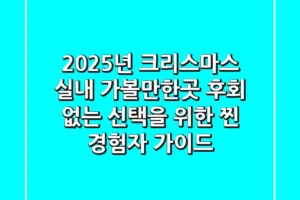 2025년 크리스마스 실내 가볼만한곳: 후회 없는 선택을 위한 찐 경험자 가이드