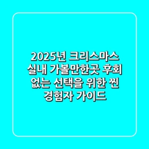 2025년 크리스마스 실내 가볼만한곳: 후회 없는 선택을 위한 찐 경험자 가이드