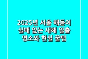 2025년 서울 해돋이: 실패 없는 새해 일출 명소와 현실 꿀팁