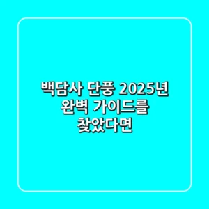 백담사 단풍, 2025년 완벽 가이드를 찾았다면?
