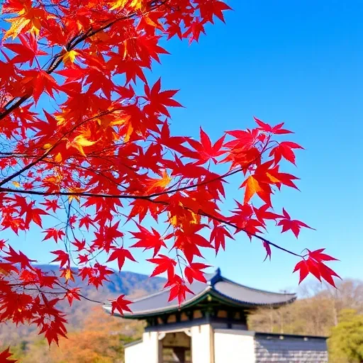 비슬산 단풍, 이렇게 즐겨보세요! 코스별 완벽 가이드