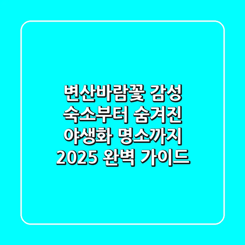 변산바람꽃: 감성 숙소부터 숨겨진 야생화 명소까지, 2025 완벽 가이드