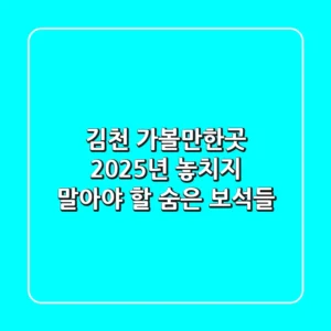 김천 가볼만한곳, 2025년 놓치지 말아야 할 숨은 보석들