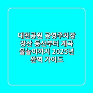 대천공원 공영주차장: 장산 등산부터 계곡 물놀이까지, 2025년 완벽 가이드