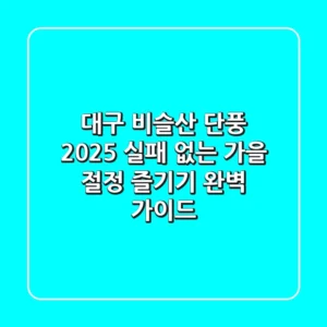 대구 비슬산 단풍 2025: 실패 없는 가을 절정 즐기기 완벽 가이드