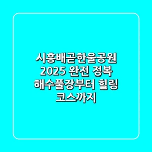시흥배곧한울공원 2025 완전 정복: 해수풀장부터 힐링 코스까지