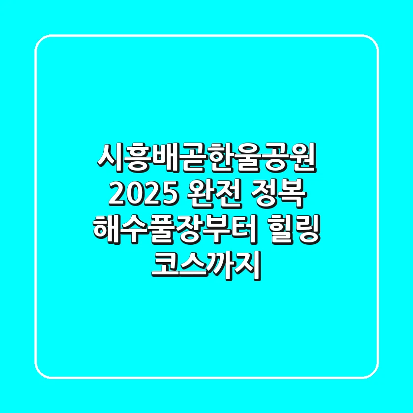 시흥배곧한울공원 2025 완전 정복: 해수풀장부터 힐링 코스까지